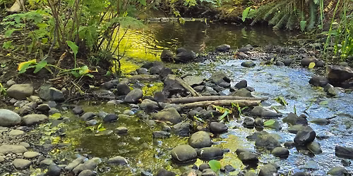 Streamkeepers course