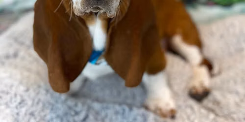 Walk in nail trimming clinic 