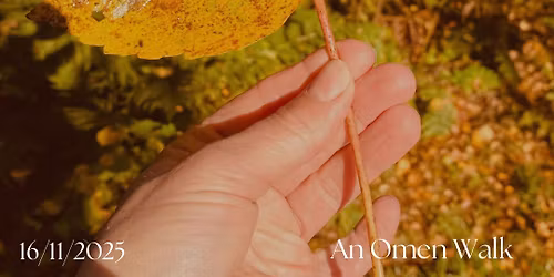 Natures Hidden Oracles