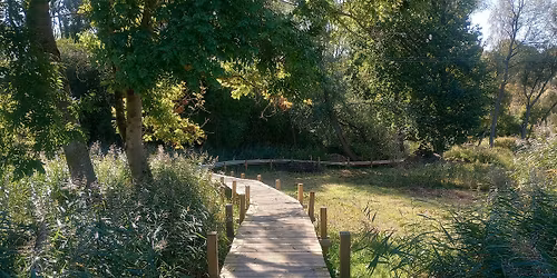 OAS Members Walk & Sketch - Hinksey Heights Nature Trail