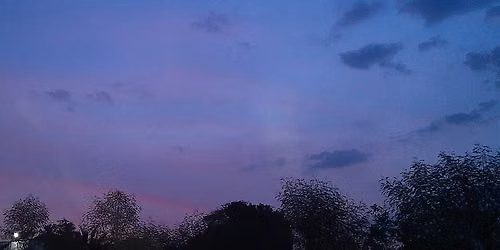 Meditative Dusk Watching w\/ Moonlady & Bird-Wiz Reba Collins