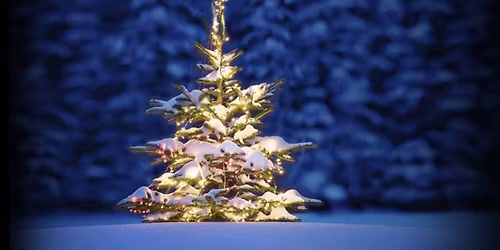 Julemesse og Julegrantenning 