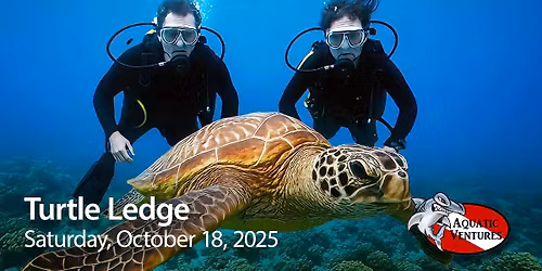 Turtle Ledge