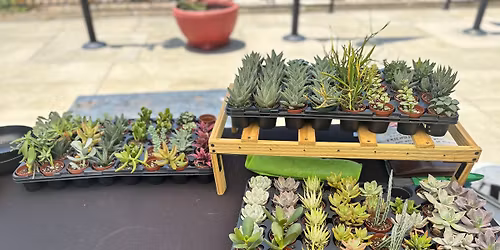 Kissimmee Maker's Market 