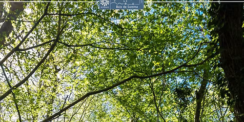 Sortie nature \u2013 Bois du Rompval