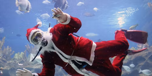 GOLD COAST DIVE AND SNORKEL CHRISTMAS PARTY 