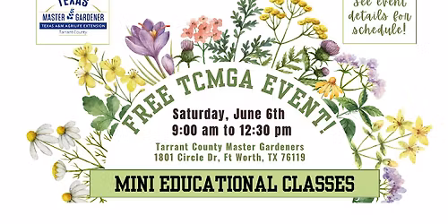 MINI EDUCATION CLASSES