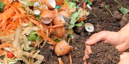 Hatherleigh Hall Garden & Growers  April meeting 