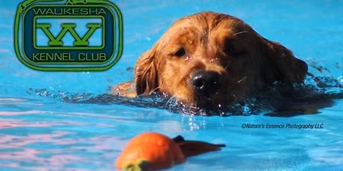 Waukesha Kennel Club Summer Splash Dog Show Weekend