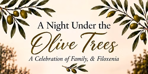 A Night Under The Olive Trees