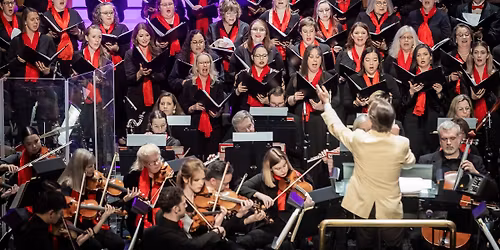 Come Home for the Holidays