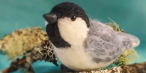 Felting Workshop with Fiber Artist Renata Britez