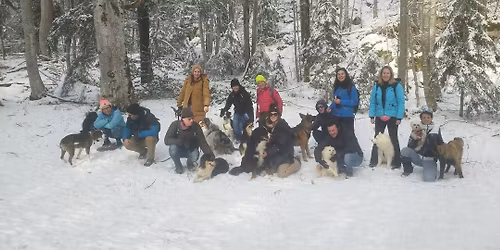 🐾 Randonnées éducatives by Univers Chien