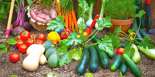 Vegetable Gardening Lecture