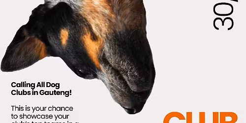 Club Sport Championship in Working Trials