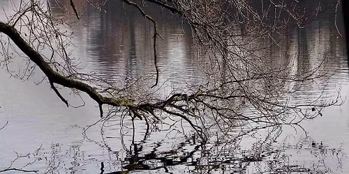 Parking Arkansas Pine Bluff Golden Lions at Marshall Thundering Herd Mens Basketball