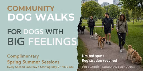 Community Social Walks | For Dogs With Big Feelings