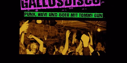 Gallusdisco