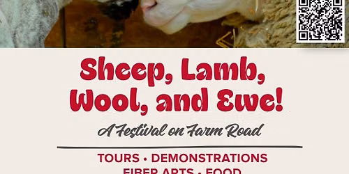 Sheep, Lamb, Wool, & Ewe!