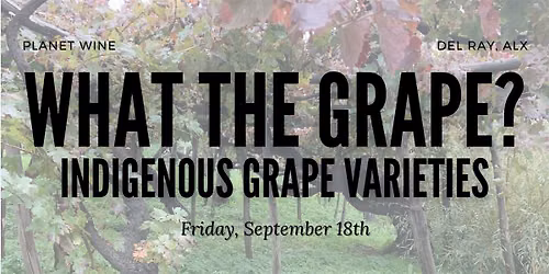 What the Grape?: Indigenous Grape Varieties Around the World