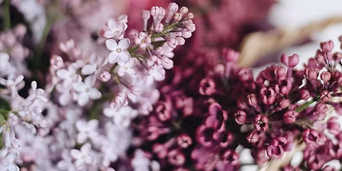 Summer Bible Study - Rest