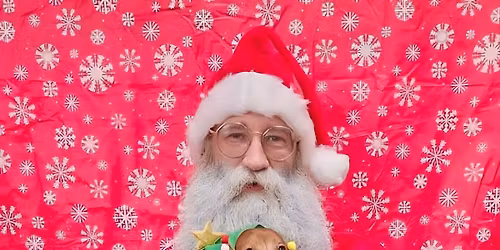 Free pet photos with Santa Fox