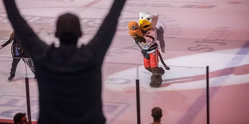 $2 Beers & $2 Hot Dogs