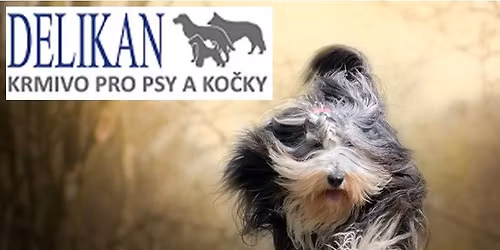 XIV. Hanick\u00e1 Sko\u010dka s firmou DELIKAN