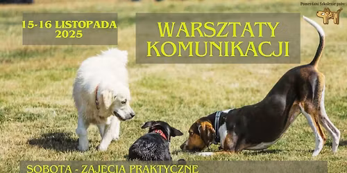 Warsztaty komunikacji VOL. 5