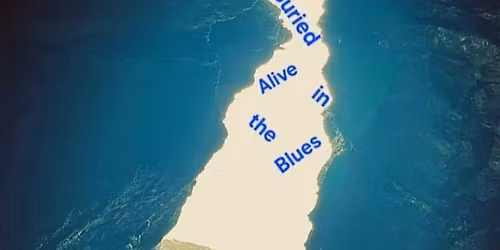 Buried Alive in the Blues - Psychotherapy in the Anthropocene
