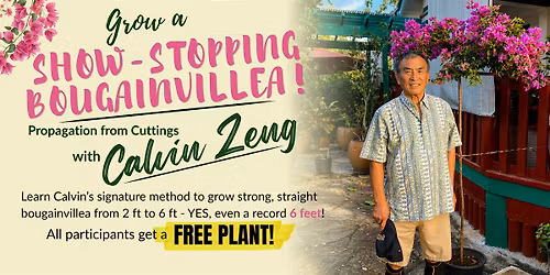 Show-Stopping Bougainvillea with Calvin Zeng