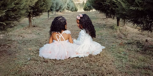 Tree Farm Minis 🌲 📸 