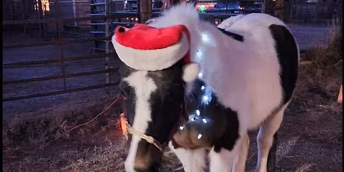 Luminaria Walk at the Los Alamos North Mesa Stables
