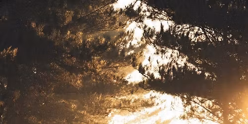 \u010carob\u011bh Brno Recovery 