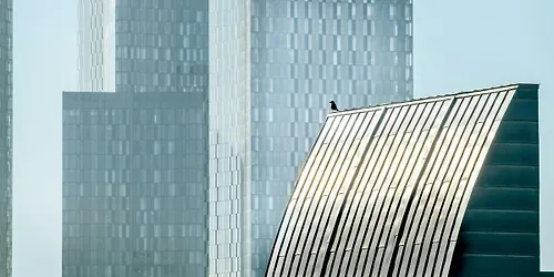 Material Shift Designing Tomorrow - The Evolution of Building Materials