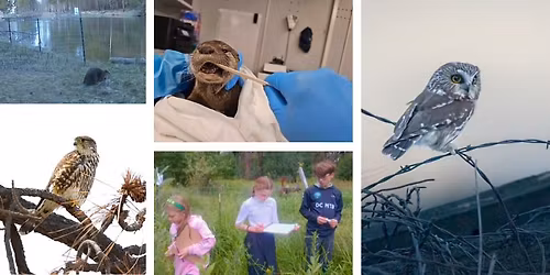 In-Person Volunteer Orientation