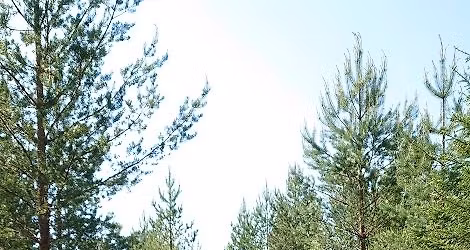 Vandring l\u00e4ngs del av Romboleden