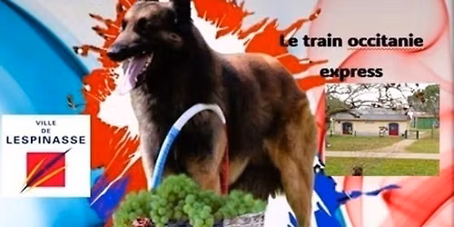 Championnat de France de travail pratique en campagne
