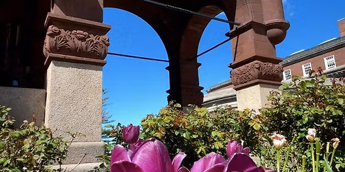 Mia Sateriale, Flute    Setnor Student Recital