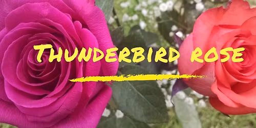 THUNDERBIRD ROSE