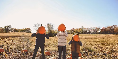 Fall Pumpkin Festival