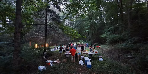 Firefly Meadow Festival