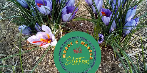 \u0428\u0430\u0444\u0440\u0430\u043d \u043f\u0440\u0435\u0434 \u041d\u0414\u041a