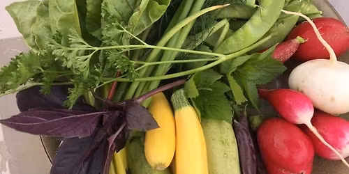 Lean Into Edible Gardening - Baby Steps to Growing Your Own Food