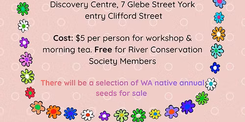 Solutions For Dry Gardens - WA Annuals for Pots, Planters & Paddocks