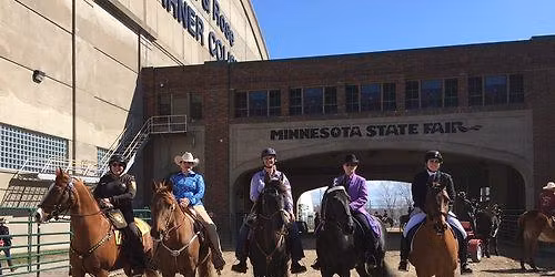 TWHs at the MN Horse Expo
