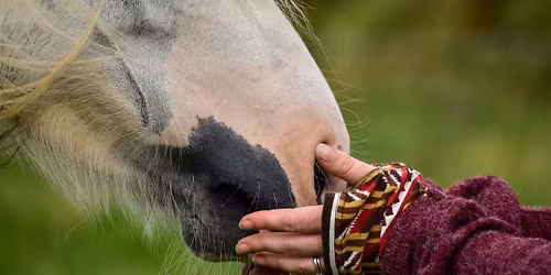 The Connection Piece Workshop w\/ Rosca Horsemanship at Derby College Equestrian Centre
