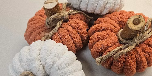 3rd-5th Grade Craft Class- Fuzzy Pumpkins