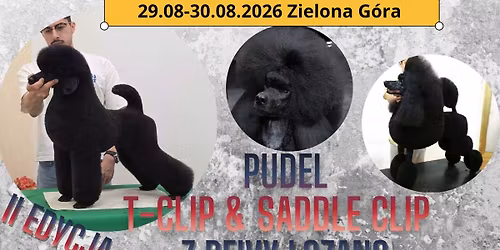 Pudel - T-CLIP & Saddle Clip\/puppy clip z Deivy Lozano