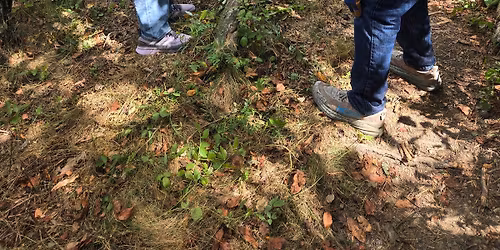 April Trail Work Day - Sprocket and Stallion Trails